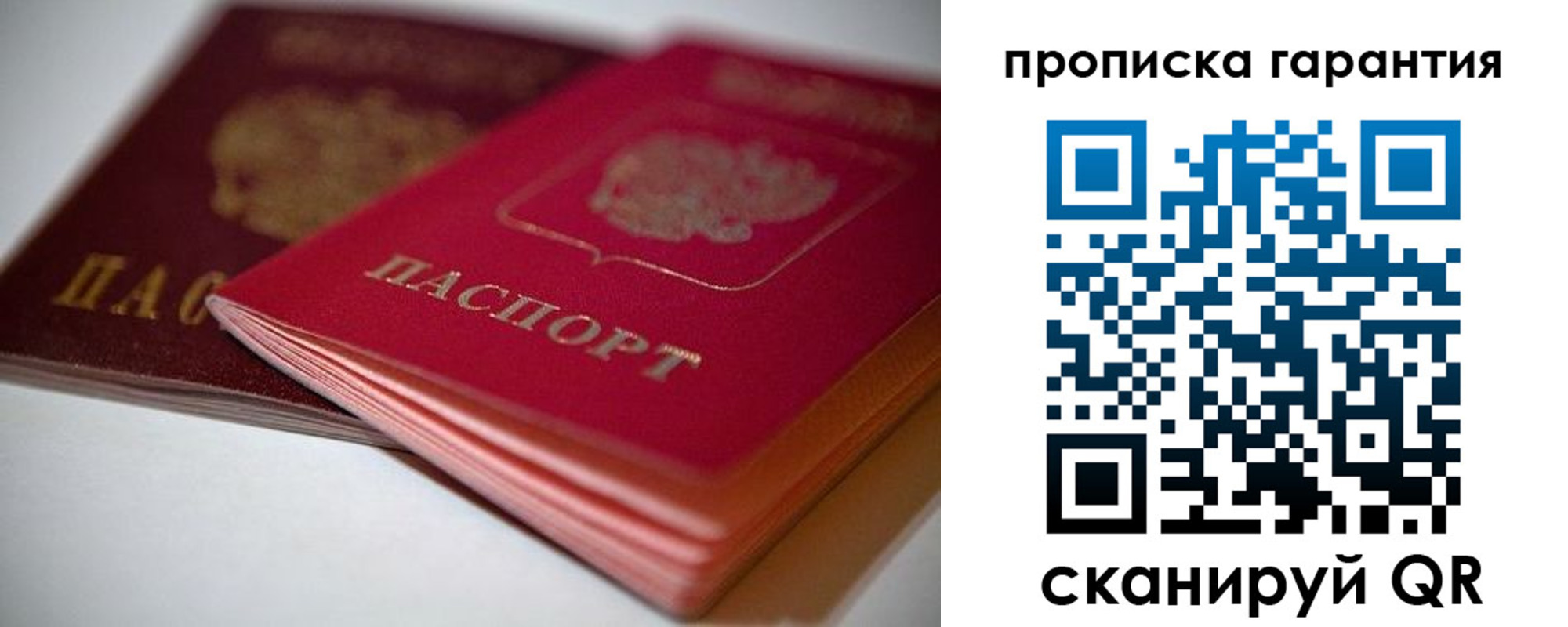 прописка в Сертолово